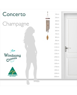 Concerto - Champagne (Factory Second)