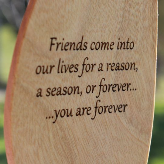 Friends come in to our lives for a reason