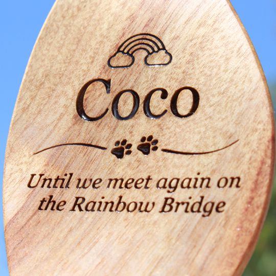 Until we meet under the rainbow bridge