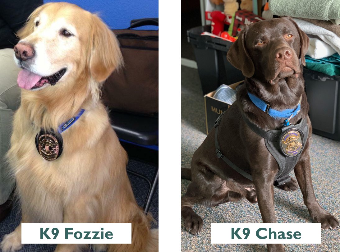 K9 Fozzie and K9 Chase