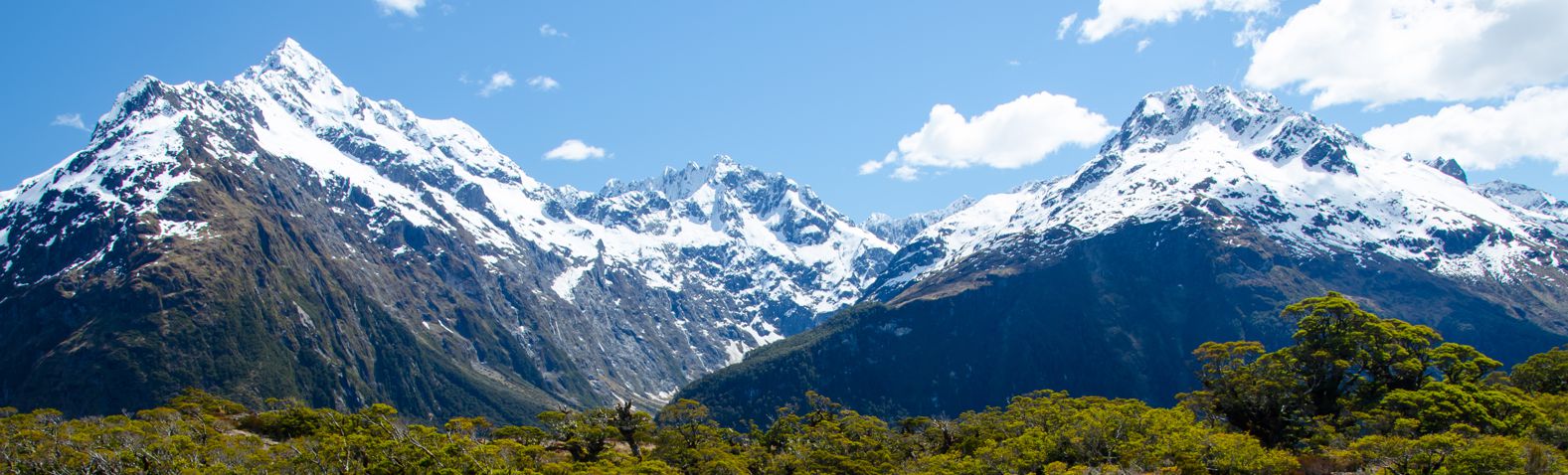 New Zealand Wind Chimes Landscape