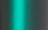Rainforest Green
